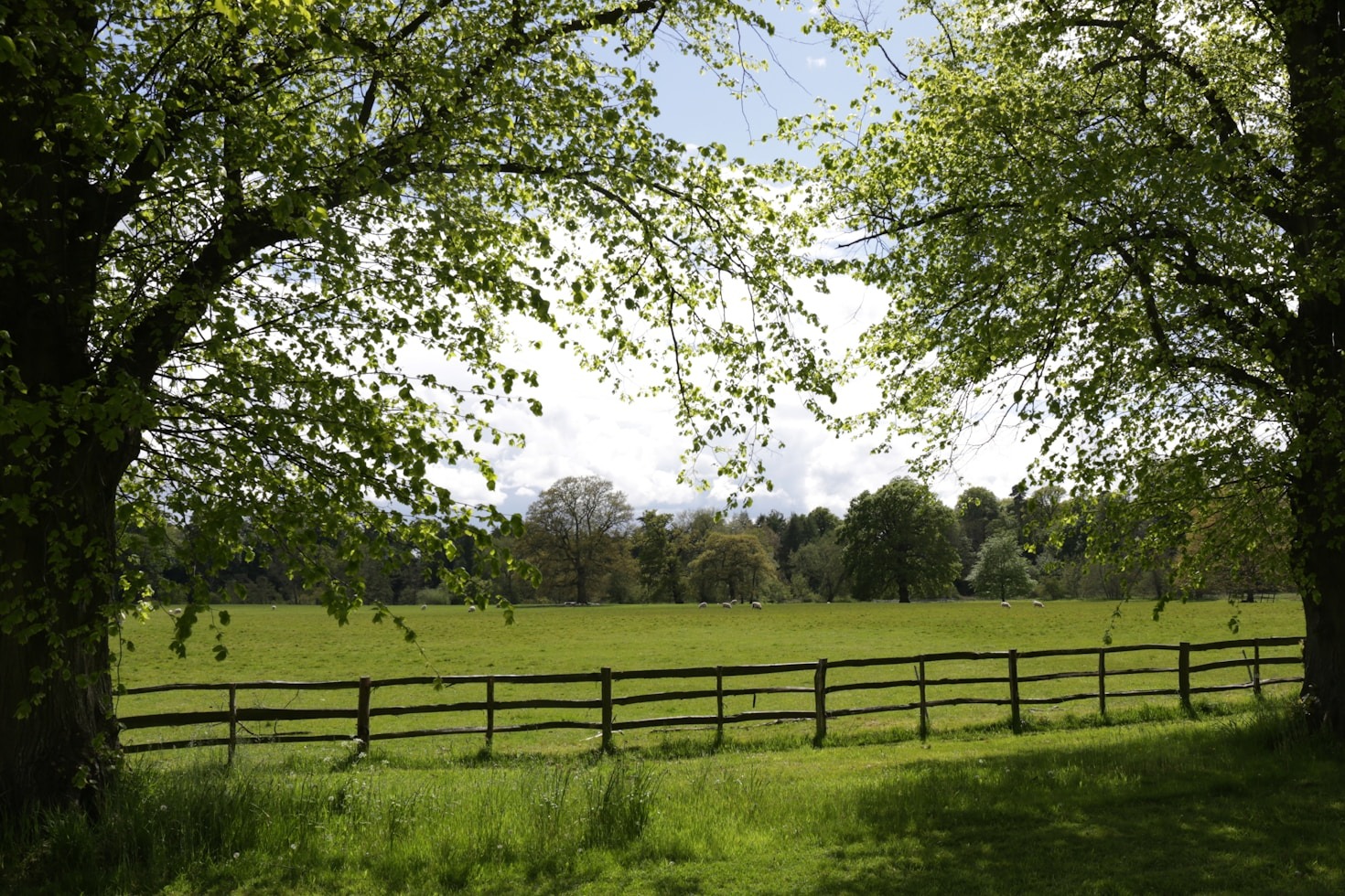 Top Attractions to Visit in Over Whitacre